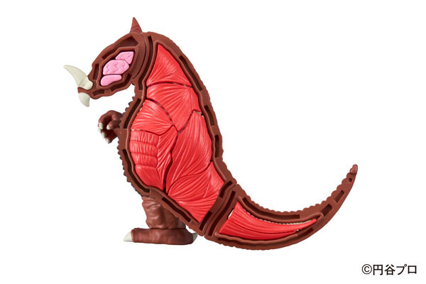 ��ü ���� ��Ÿ�� �����  [4975430517632]