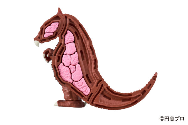 ��ü ���� ��Ÿ�� �����  [4975430517632]