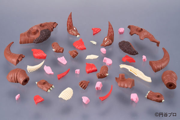 ��ü ���� ��Ÿ�� �����  [4975430517632]