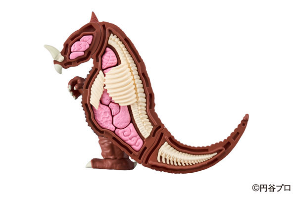 ��ü ���� ��Ÿ�� �����  [4975430517632]