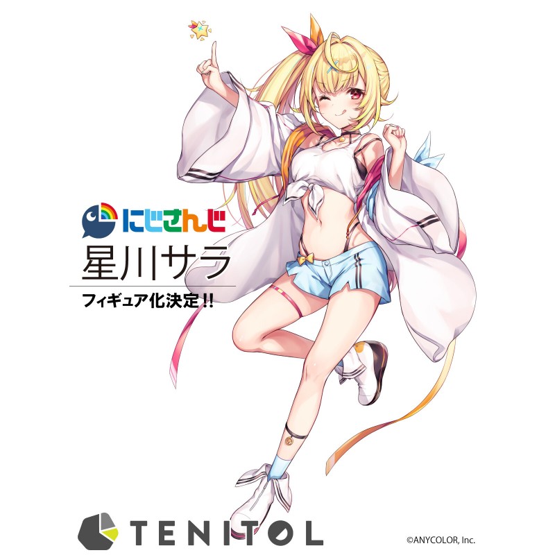 TENITOL �������� - ȣ��ī�� ��� [11���԰��Ϸ�] [4580736406230]