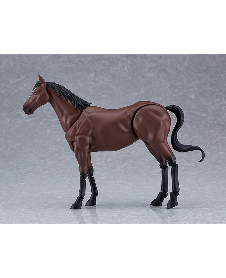 [�Ǳ׸�] �߻���(����) [1���԰��Ϸ�] [4545784068779]