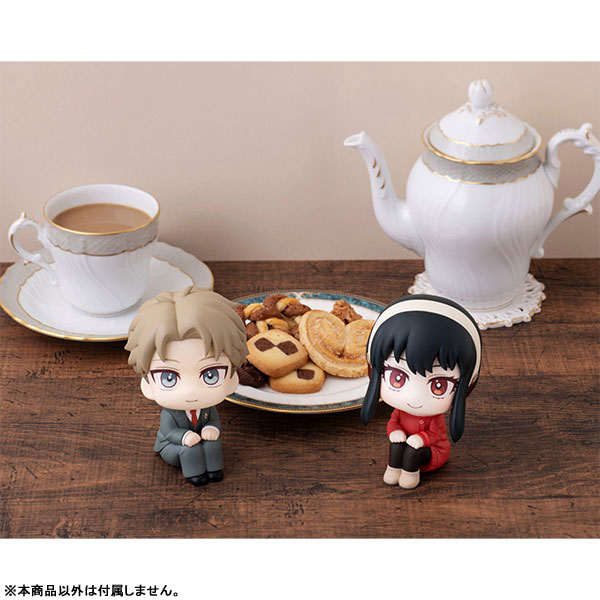 [���] ������x�йи� - ���̵� ���� [10���԰��Ϸ�] [4535123835797]