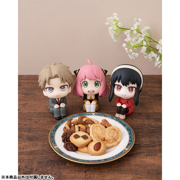 [���] ������x�йи� - ���̵� ���� [10���԰��Ϸ�] [4535123835797]