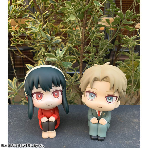 [���] ������x�йи� - ���̵� ���� [10���԰��Ϸ�] [4535123835797]