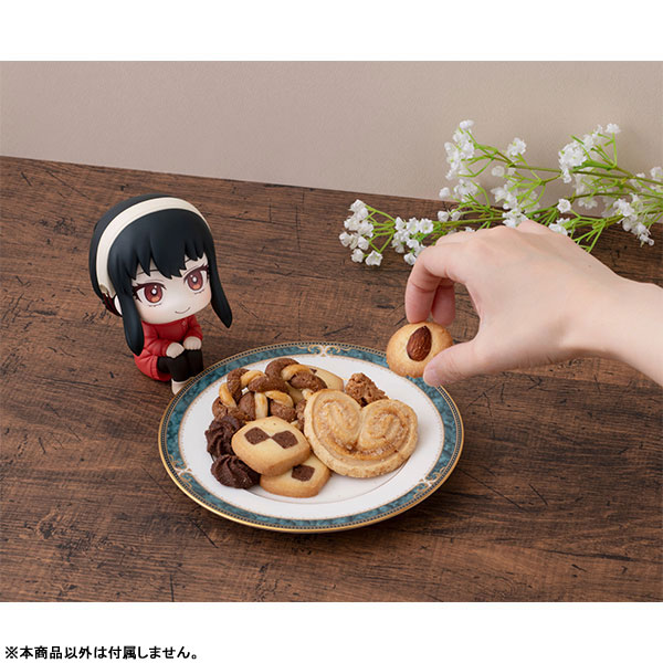 [Ư������] [���] ������x�йи� - ���̵� ����/�丣 ����  [9���԰��Ϸ�] [4535123835810]