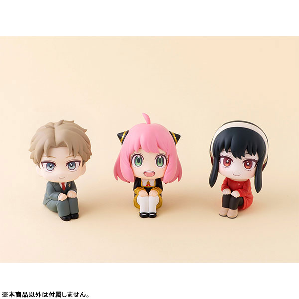 [���] ������x�йи� - ���̵� ���� [10���԰��Ϸ�] [4535123835797]