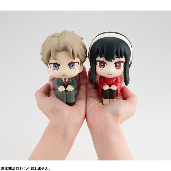 [���] ������x�йи� - ���̵� ���� [10���԰��Ϸ�] [4535123835797]