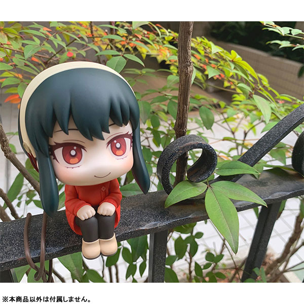 [Ư������] [���] ������x�йи� - ���̵� ����/�丣 ����  [9���԰��Ϸ�] [4535123835810]