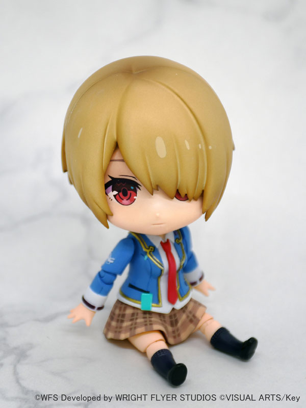 [��ǰ�ǱԾ�] DFORM ��� ���� ���� - ī�߸� ��ī [10���԰��Ϸ�] [4515142459587]