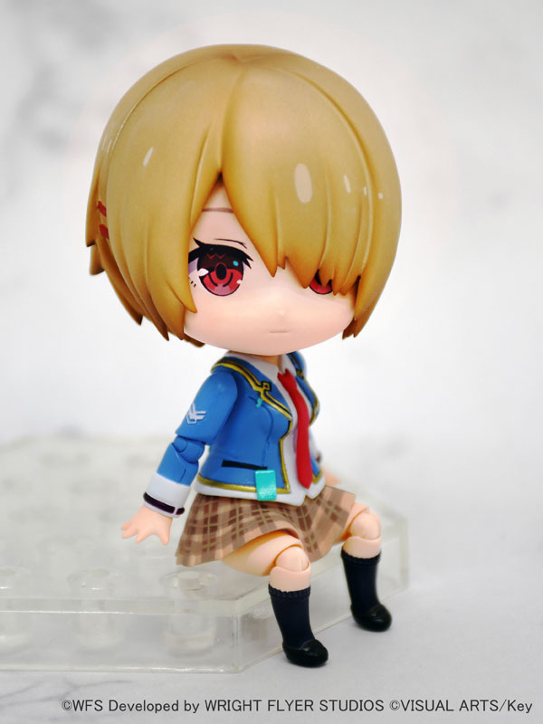 [��ǰ�ǱԾ�] DFORM ��� ���� ���� - ī�߸� ��ī [10���԰��Ϸ�] [4515142459587]