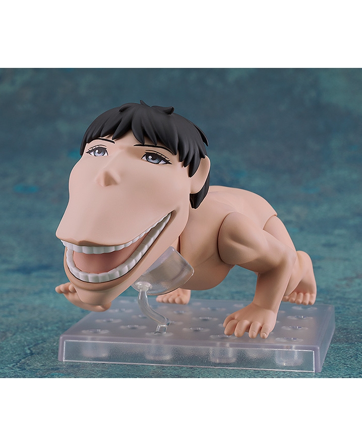 [�ٵ����̵� ���] ������ ����  [4580590173675]