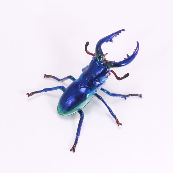 �������� ��ȯ �罿���� �����̾� [5���԰��Ϸ�] [4580614270731]