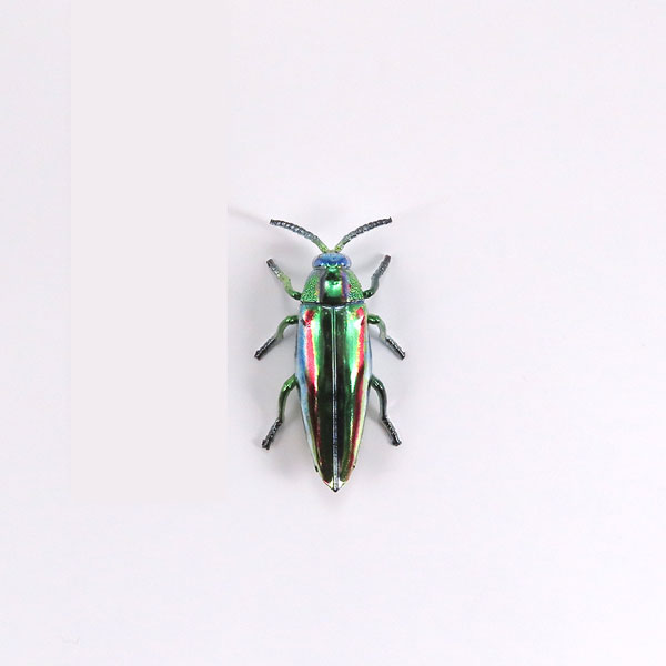 �������� ��ܹ��� [4���԰��Ϸ�] [4580614270540]