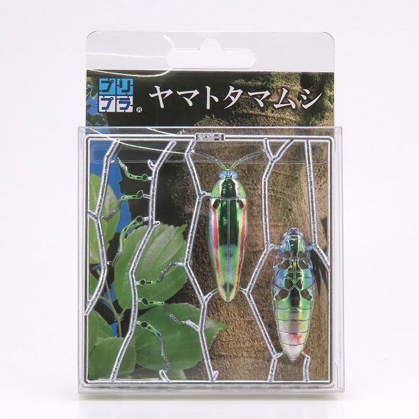 �������� ��ܹ��� [4���԰��Ϸ�] [4580614270540]