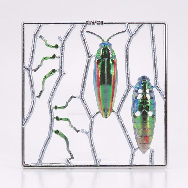 �������� ��ܹ��� [4���԰��Ϸ�] [4580614270540]