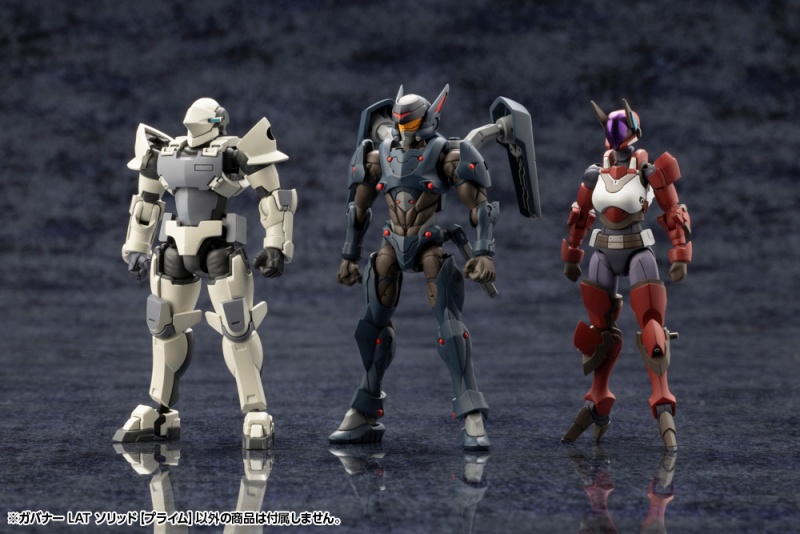 [������] 1/24 �Ź��� LAT �ָ���(������) [12���԰��Ϸ�] [4934054039678]