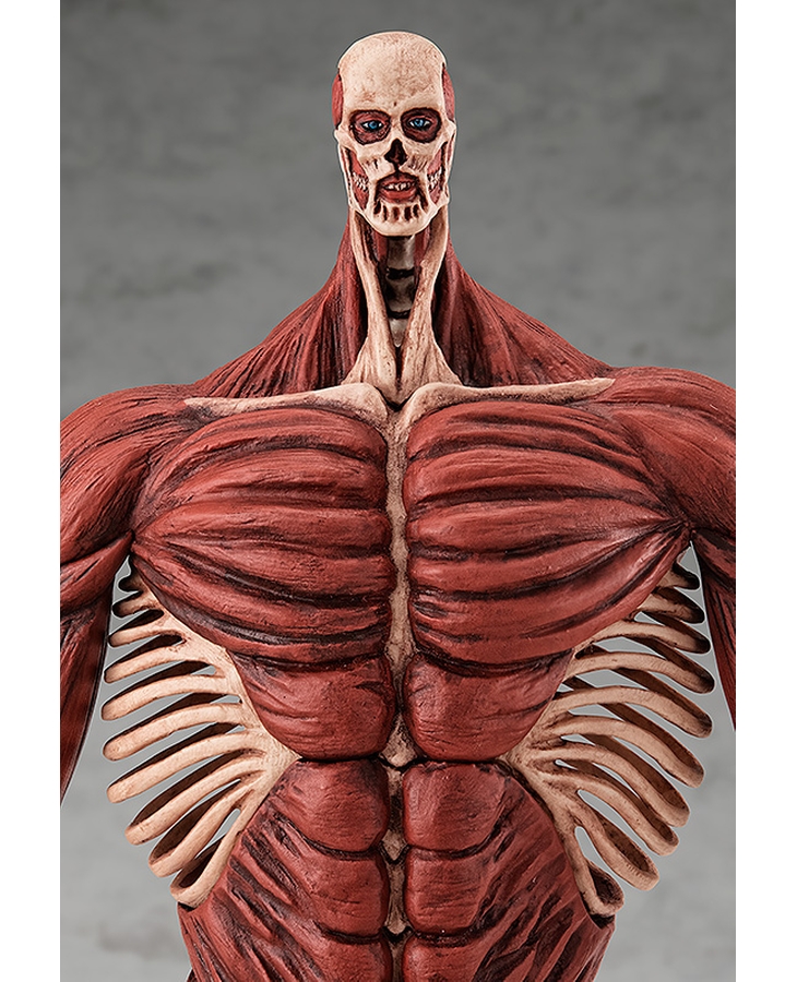 [�˾��۷��̵�] ������ ���� - �ʴ��� ���� Ver.L ������ [11���԰��Ϸ�] [4580416947473]