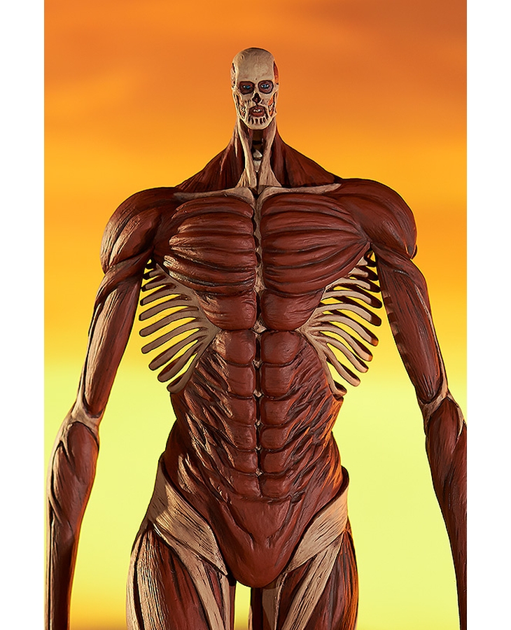 [�˾��۷��̵�] ������ ���� - �ʴ��� ���� Ver.L ������ [11���԰��Ϸ�] [4580416947473]