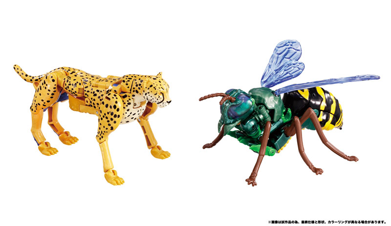 Ʈ�������� BWVS-03 ġŸ��&�ͽ��Ǵ� ������ ��� [11���԰��Ϸ�] [4904810909361]