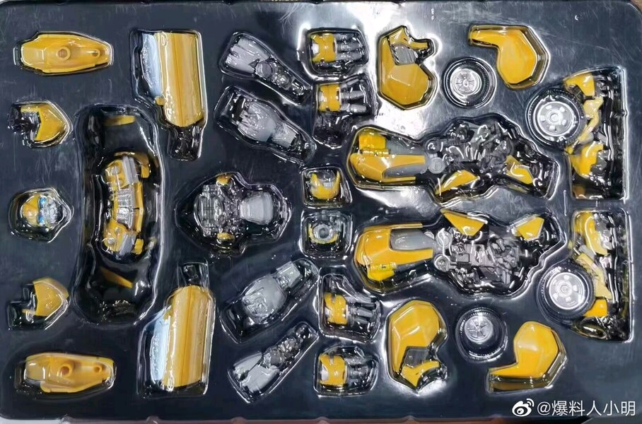 AMK �ø��� Ʈ��������: ��Ʈ�� ���� - ��Ƽ�ӽ� �����̸� [8���԰��Ϸ�] [4897131750012]