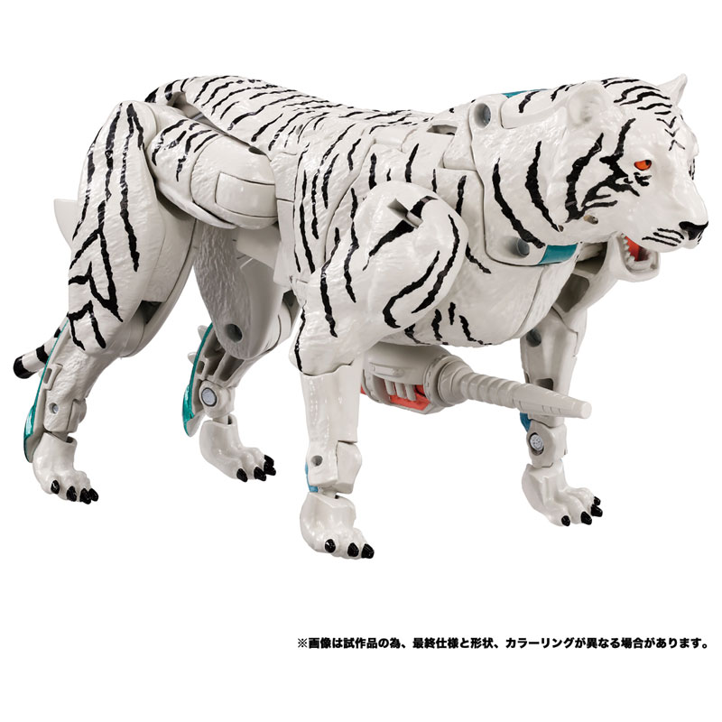 Ʈ�������� BWVS-04 Ÿ�̰� Ʈ��&���� ������ ������ ��� [1���԰��Ϸ�] [4904810909378]