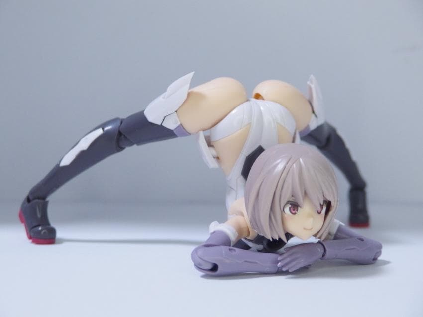 [�����Ӿ����] �ݰ�(���) [3���԰��Ϸ�][4934054059072]