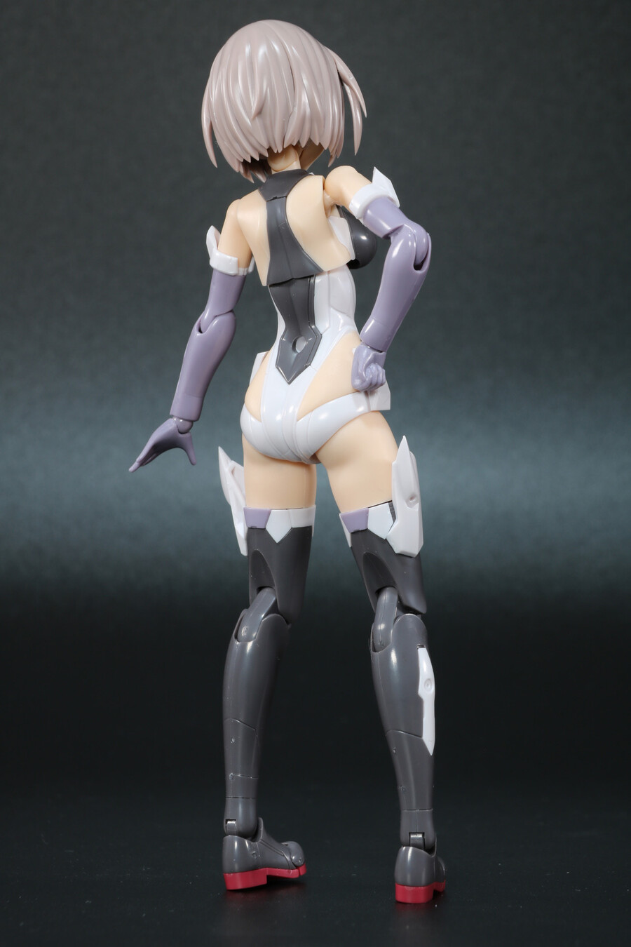 [�����Ӿ����] �ݰ�(���) [3���԰��Ϸ�][4934054059072]