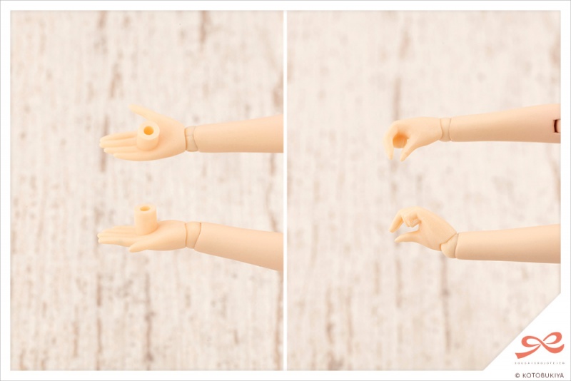 [âä�ҳ�����] �翡Ű ����ī ������ [1���԰��Ϸ�] [4934054032235]