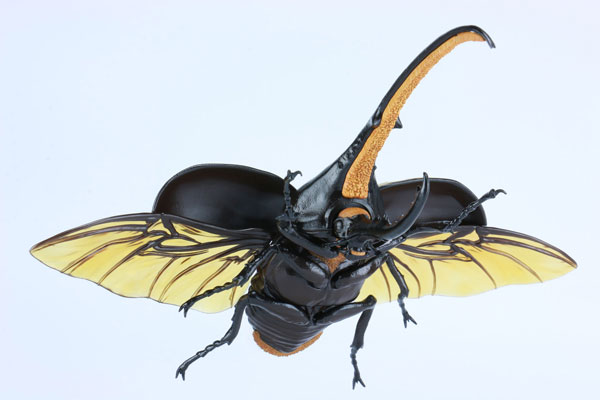 �������� �ø��� No.26 EX-1 ���Ŭ���� ����ī���� ���Ĵ��ڱ� �ͳ����� ��Ver. [7���԰��Ϸ�] [4968728171418]