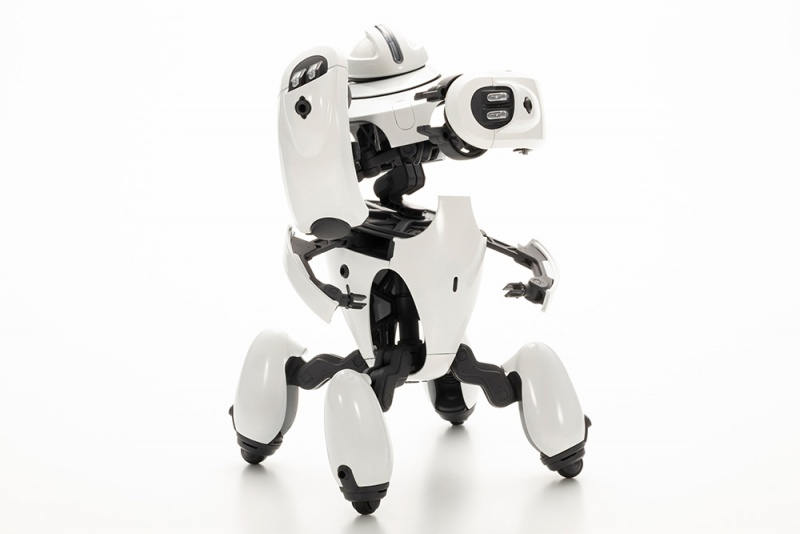 1/12 ���������� - ����� ȭ��ƮVer. [2���԰��Ϸ�] [4934054042845]