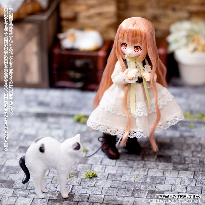 1/6 �˹ٽ�Ÿ���� ���� �Ÿ��� ���� ��޿� [3���԰��Ϸ�][4582119996529]