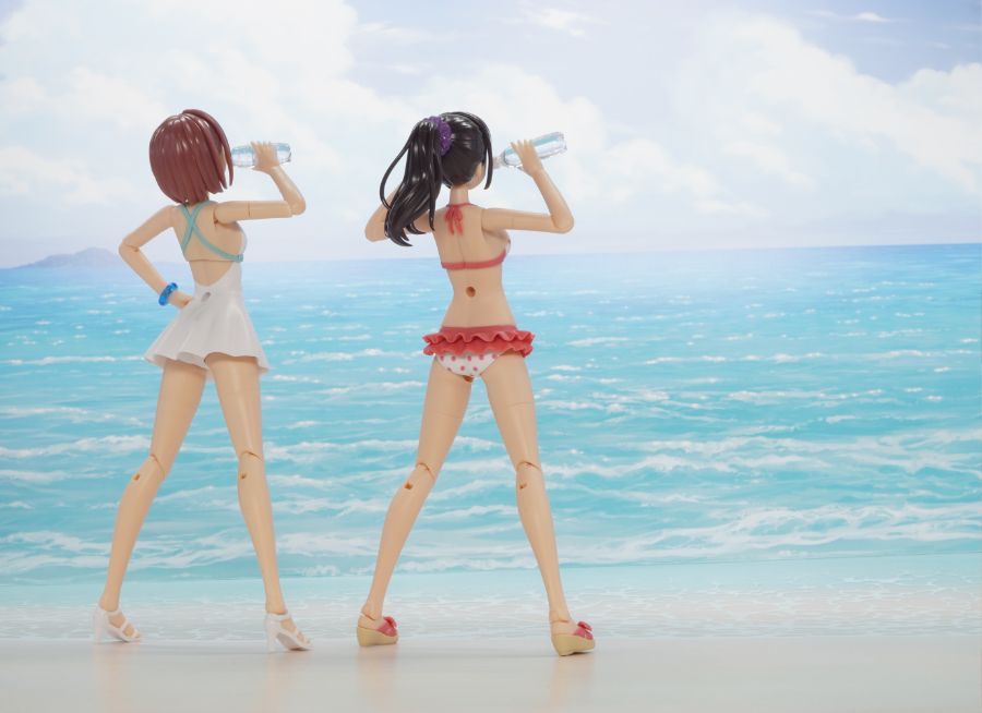 [âä�ҳ�����] 1/10 ������ ���� ����ī�� ��ɸ��� ���� �����̼� ��Ʈ [9���԰��Ϸ�] [4934054043415]