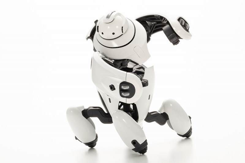 1/12 ���������� - ����� ȭ��ƮVer. [2���԰��Ϸ�] [4934054042845]