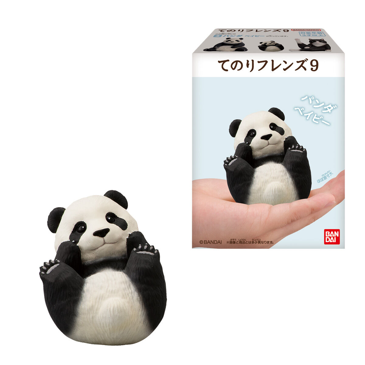 �չٴ� ģ���� 9ź(1�ڽ�12����) [8���԰��Ϸ�] [4549660957775]