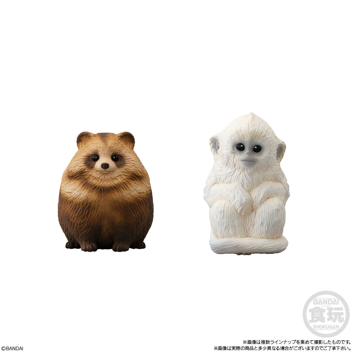 �չٴ� ģ���� 9ź(1�ڽ�12����) [8���԰��Ϸ�] [4549660957775]