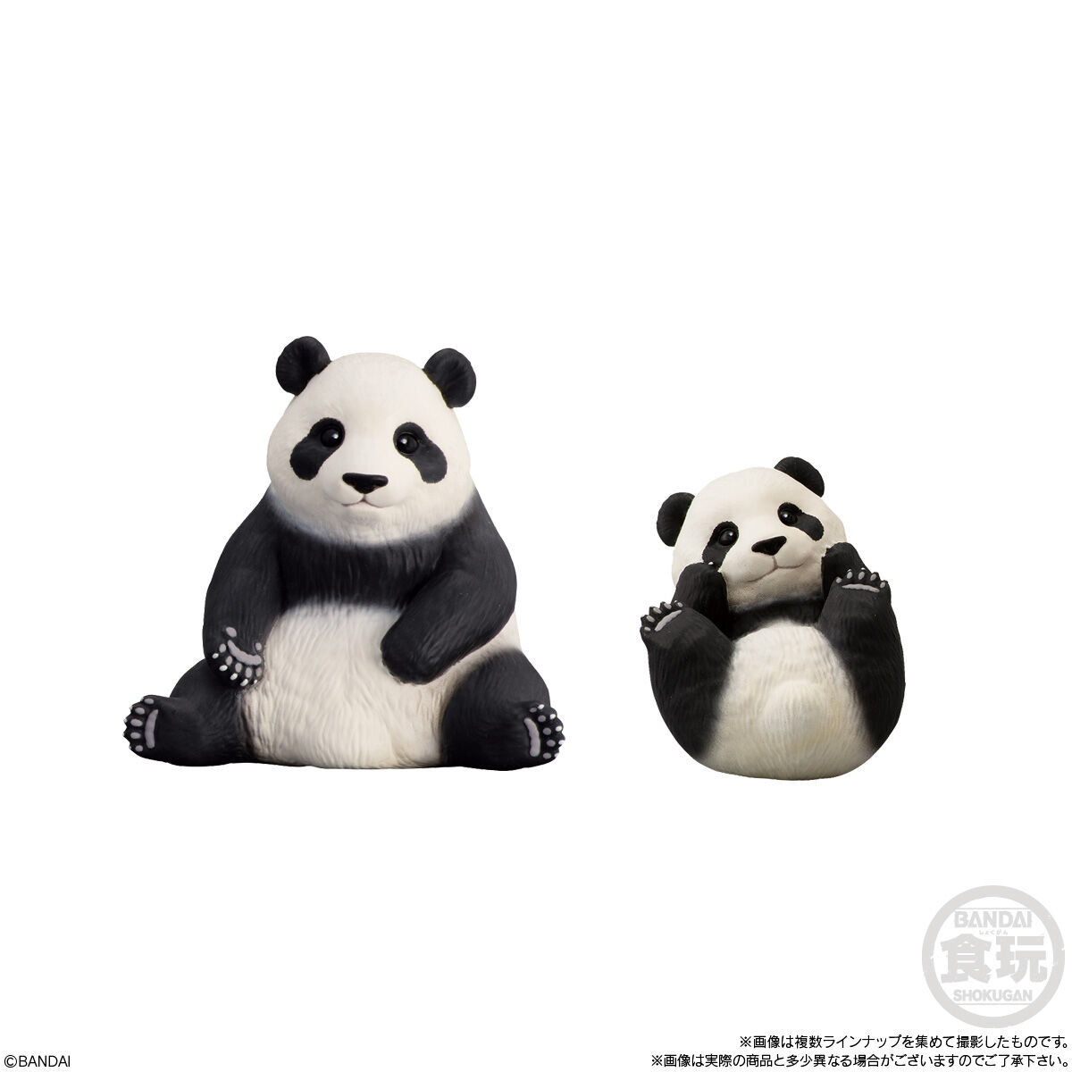 �չٴ� ģ���� 9ź(1�ڽ�12����) [8���԰��Ϸ�] [4549660957775]