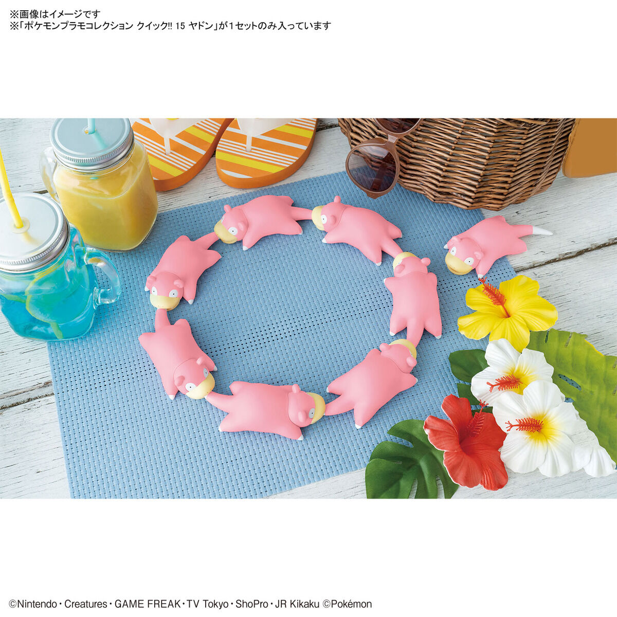 [���ϸ���������15] ���ϸ��� - �ߵ� [11���԰��Ϸ�] [4573102654403]