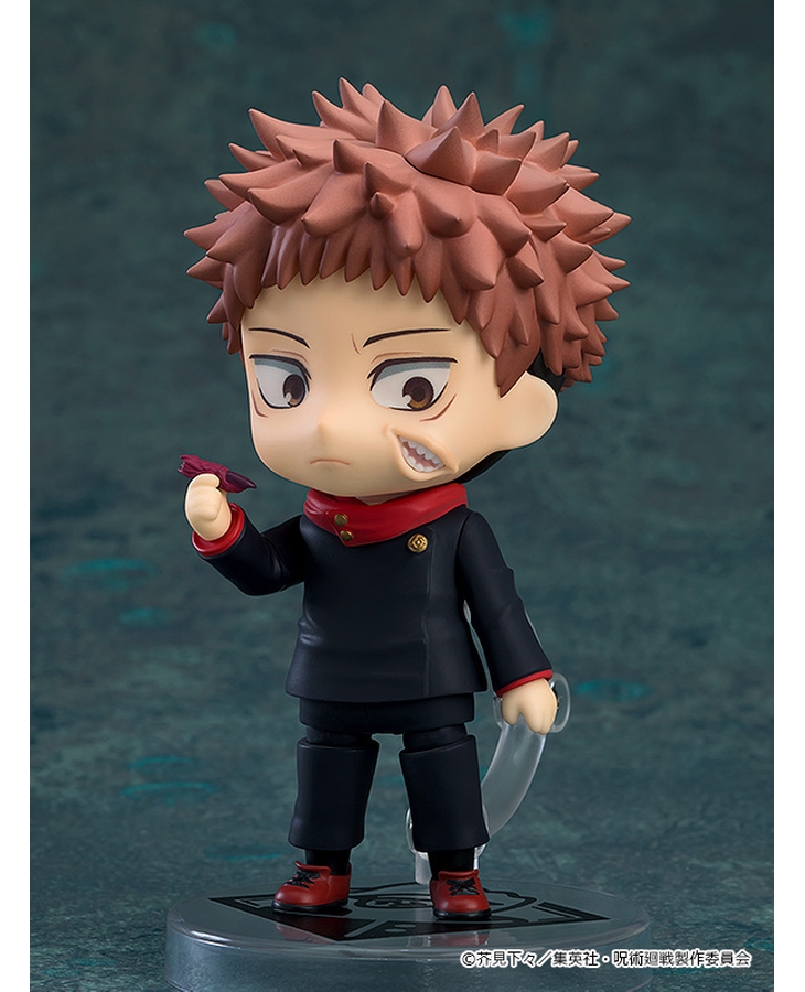 [�ٵ����̵� ���] ���Ƴ���� ���̽� �ּ�ȸ�� 1ź(1�ڽ�6����) [4580590184732]