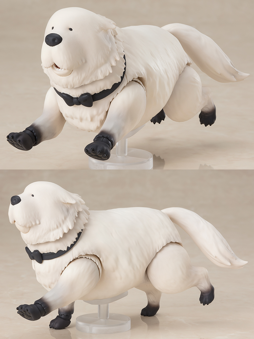 [S.H.Figuarts] ������x�йи� - ���� ���� -�ƳĶ� �Բ�- [2���԰��Ϸ�] [4573102653673]