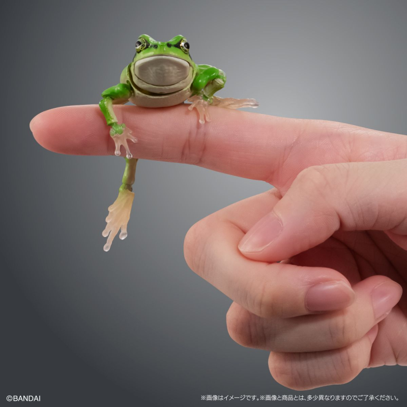 [�����߼�][�̰���] ���� �뵵�� û������(1�������߼�) [9���԰��Ϸ�] [4549660971290]