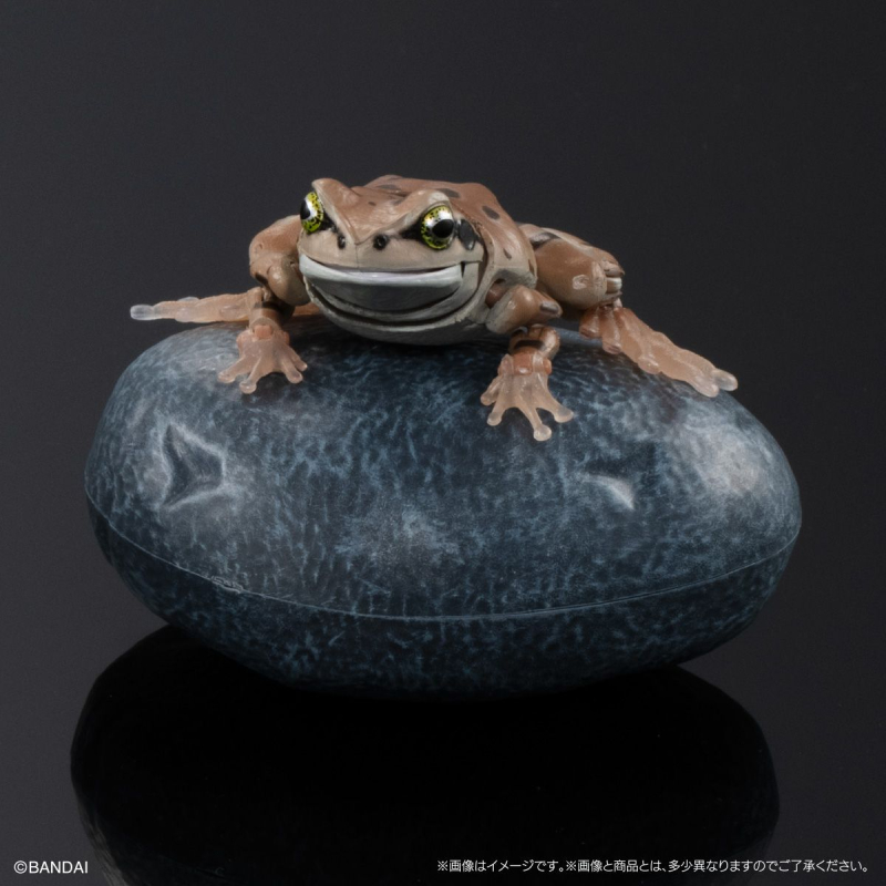 [�����߼�][�̰���] ���� �뵵�� û������(1�������߼�) [9���԰��Ϸ�] [4549660971290]