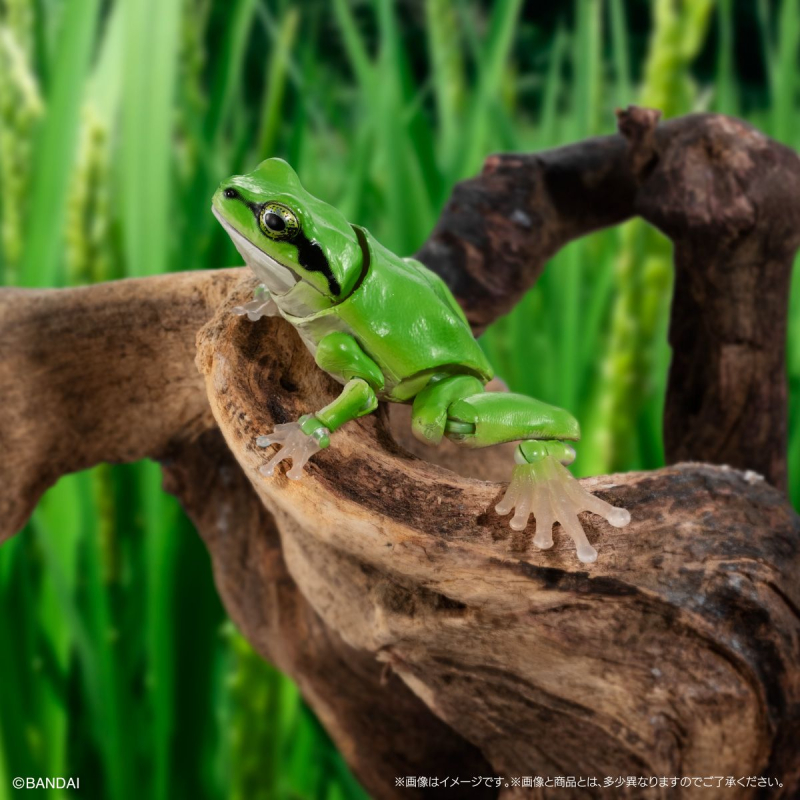 [�����߼�][�̰���] ���� �뵵�� û������(1�������߼�) [9���԰��Ϸ�] [4549660971290]