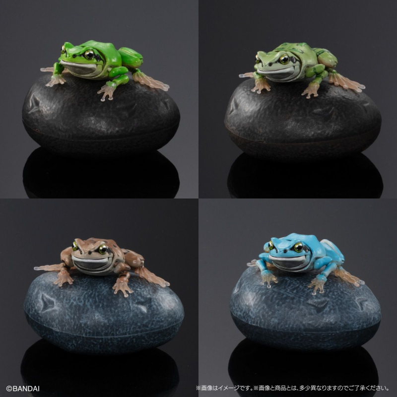 [�����߼�][�̰���] ���� �뵵�� û������(1�������߼�) [9���԰��Ϸ�] [4549660971290]