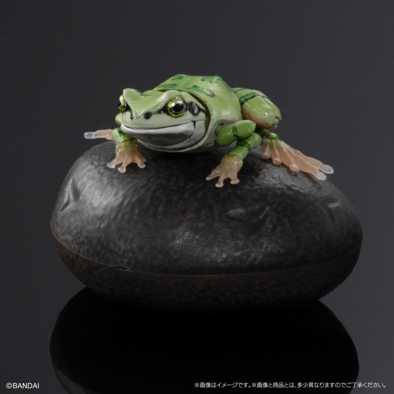 [�����߼�][�̰���] ���� �뵵�� û������(1�������߼�) [9���԰��Ϸ�] [4549660971290]