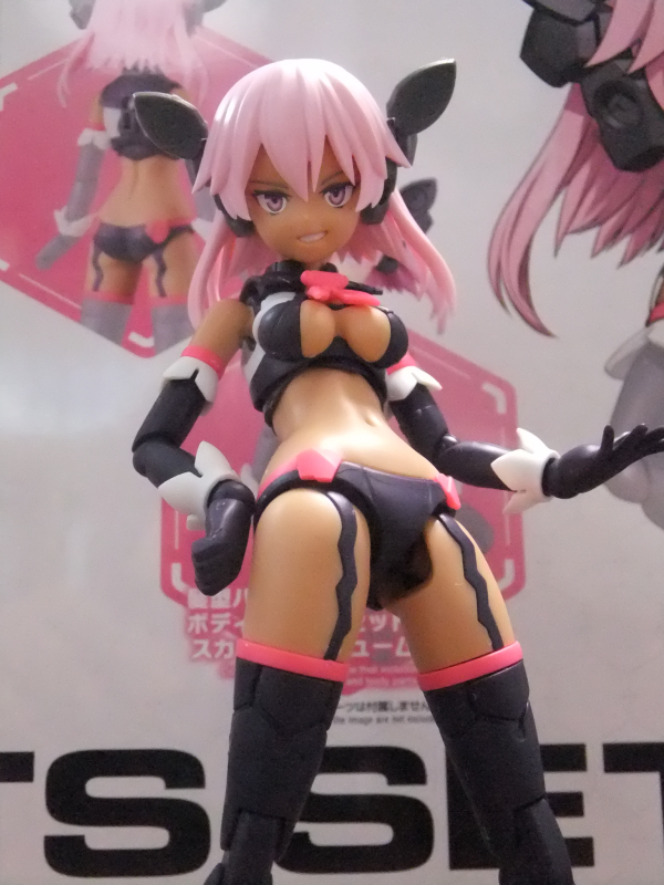 [30MS][OP-08] �ɼ� ���� ��Ʈ 8 ��ī��Ʈ �ڽ�Ƭ �÷�C [3���԰��Ϸ�] [4573102654328]