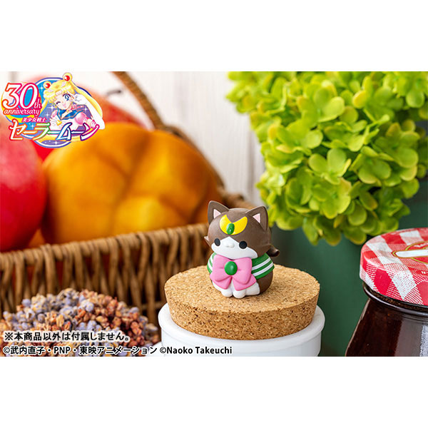 �ް� Ĺ ������Ʈ �̼ҳ� ���� ���Ϸ��� ���Ĺ� ���� ����ؼ� ���̴ٳ� 2024Ver.(1�ڽ�8����) [2���԰��Ϸ�] [4535123836718]