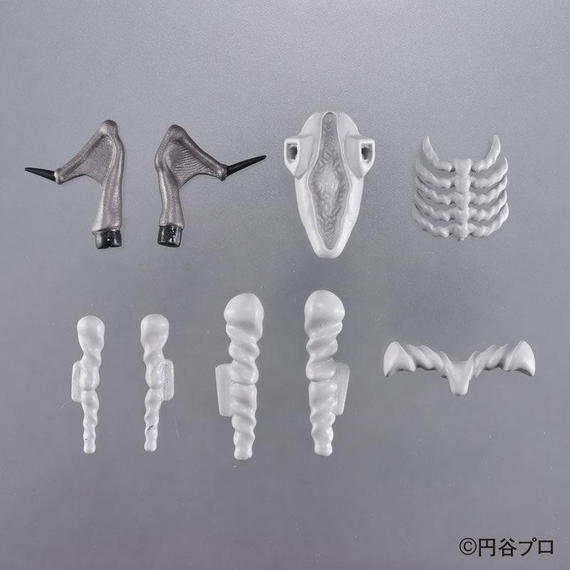 [Ư������] ��ü ���� ��Ÿ�� ��Ʈ��� - ���� [4975430518073]