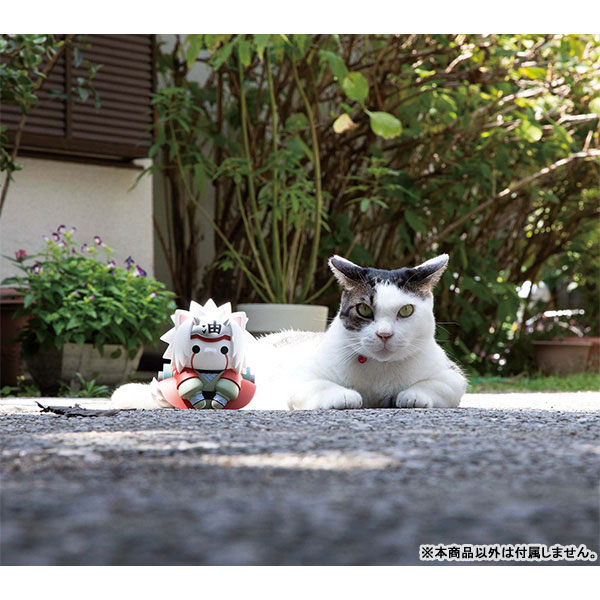 �ް� Ĺ ������Ʈ ������ ����� Ŀ�ٶ� �ķ��� �����̾� [4535123837326]