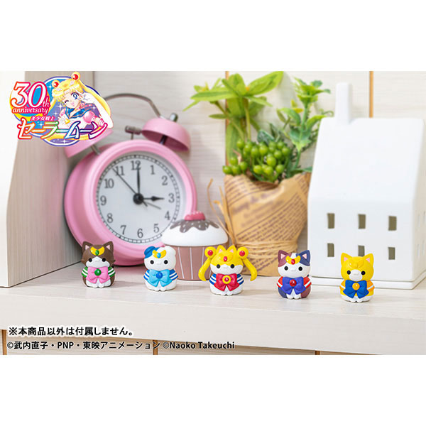 �ް� Ĺ ������Ʈ �̼ҳ� ���� ���Ϸ��� ���Ĺ� ���� ����ؼ� ���̴ٳ� 2024Ver.(1�ڽ�8����) [2���԰��Ϸ�] [4535123836718]